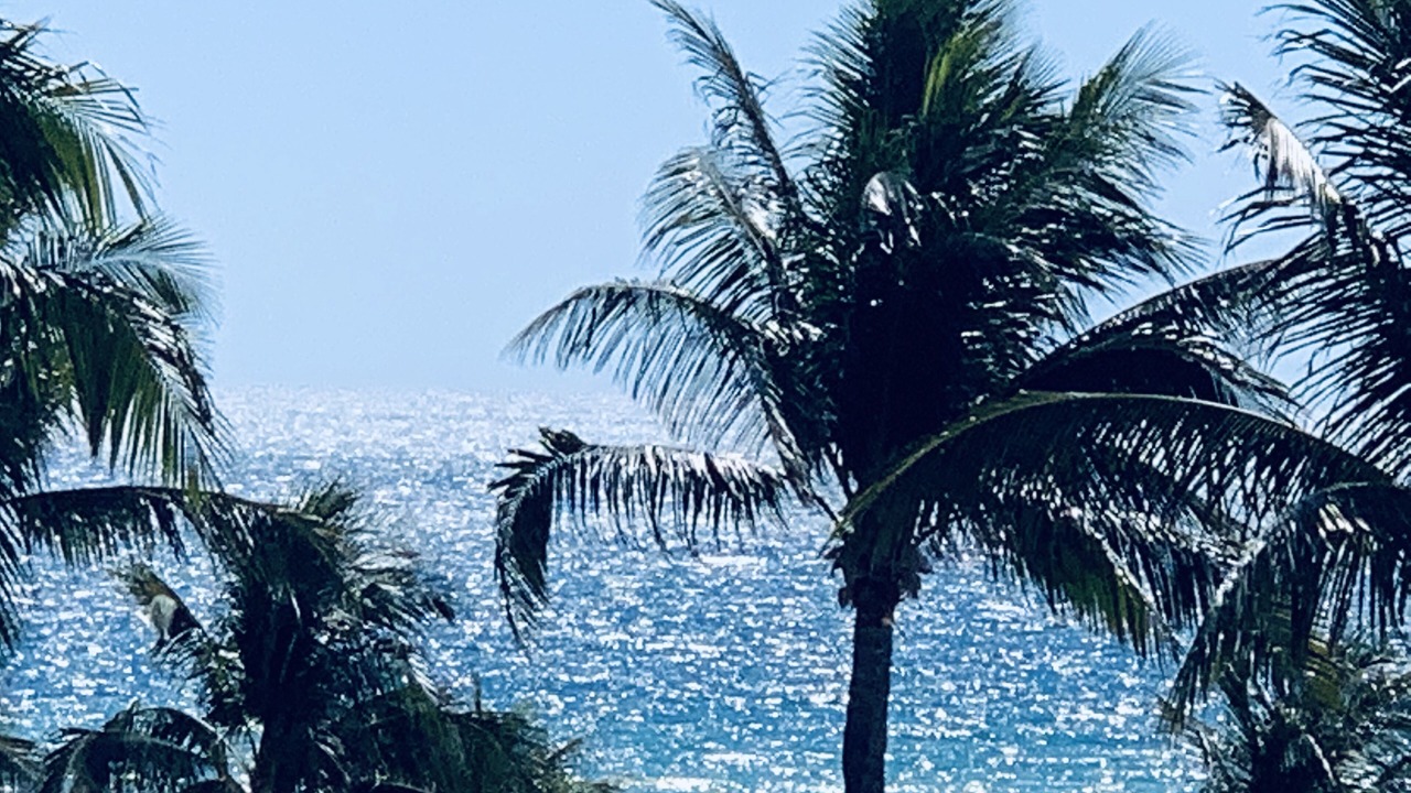 Photo of Others in Flamingo/Lummus