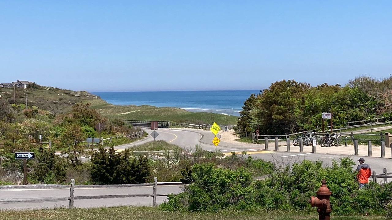 Photo of Others in East Dennis