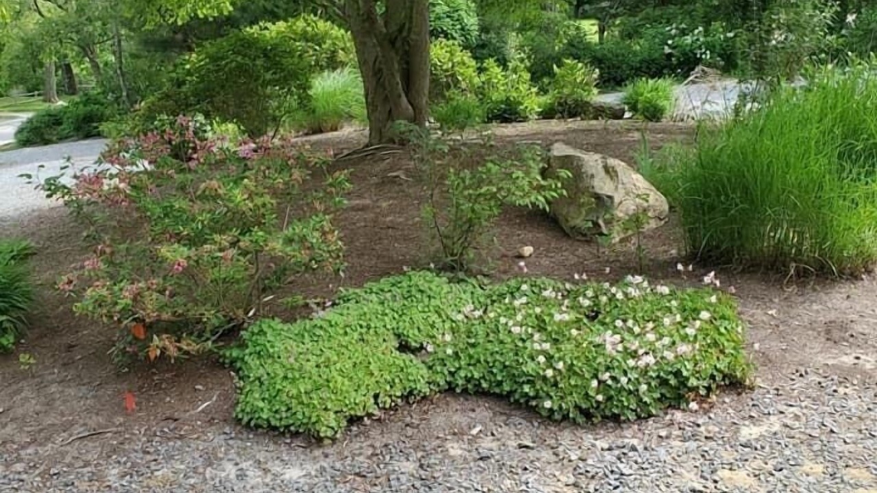 Photo of Others in East Dennis