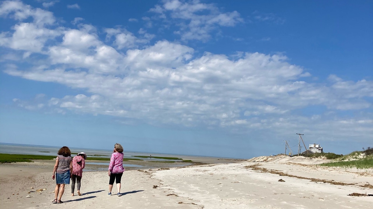 Photo of Others in East Dennis