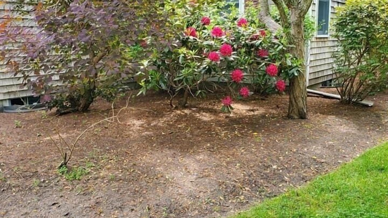 Photo of Outdoor in East Dennis