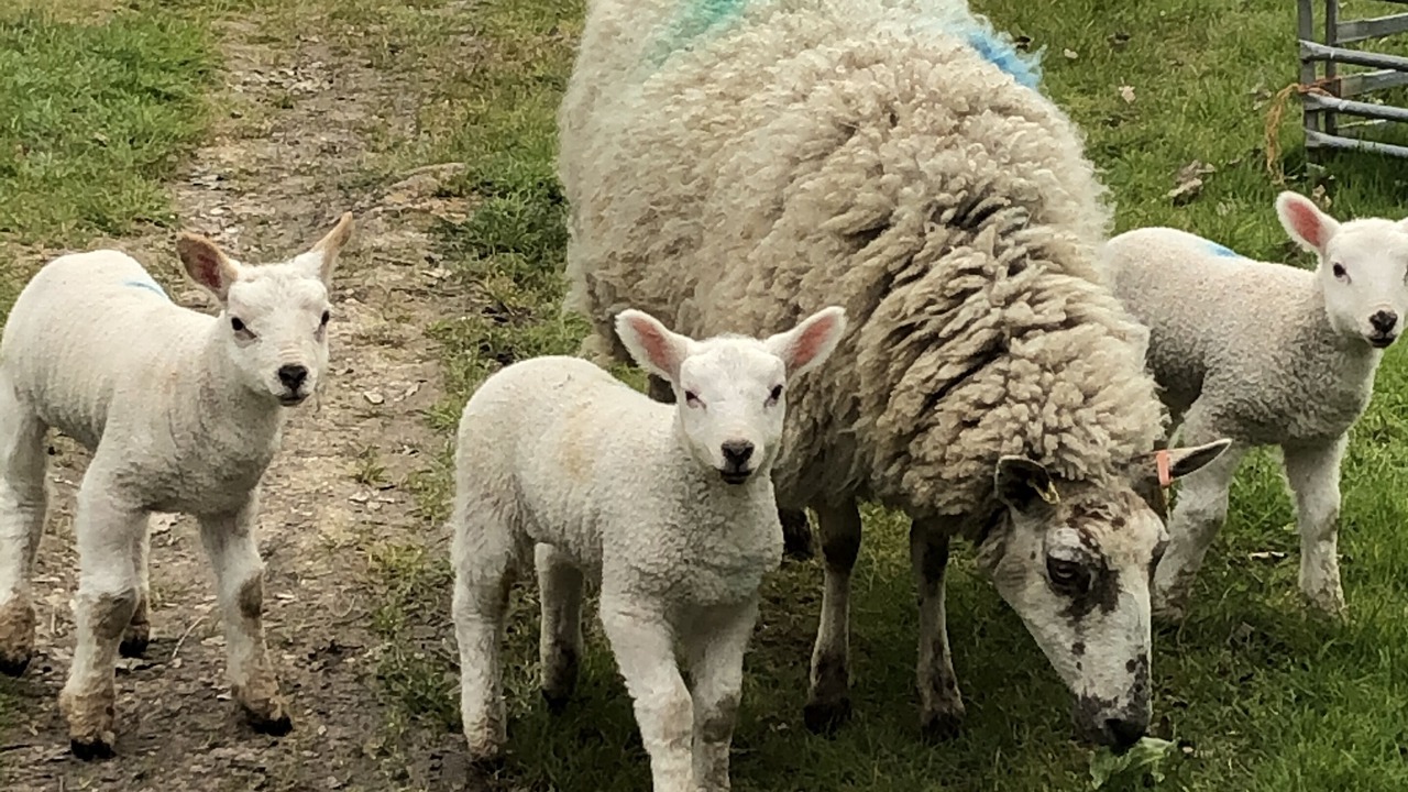 Photo of Others in Faringdon