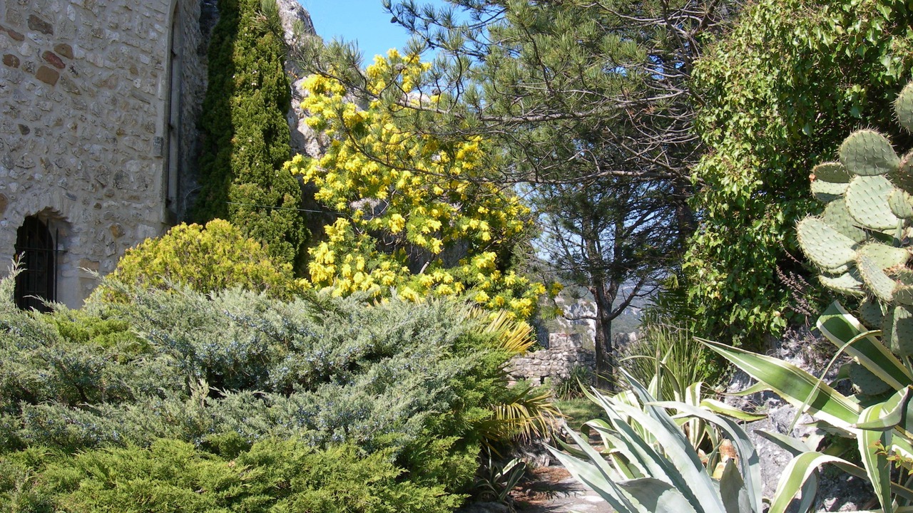 Photo of Outdoor in Aigueze