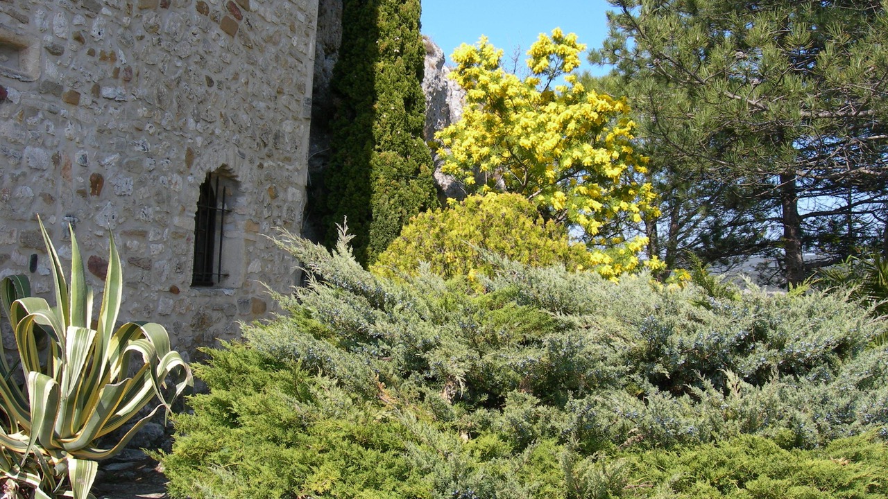 Photo of Outdoor in Aigueze