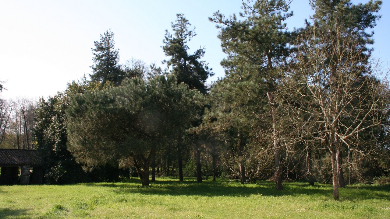 Photo of Outdoor in Avrille
