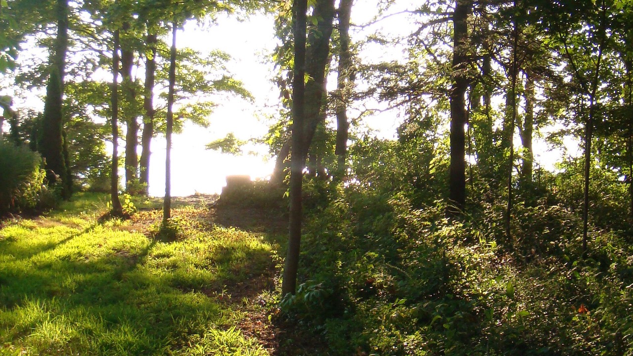 Photo of Outdoor in Fennville