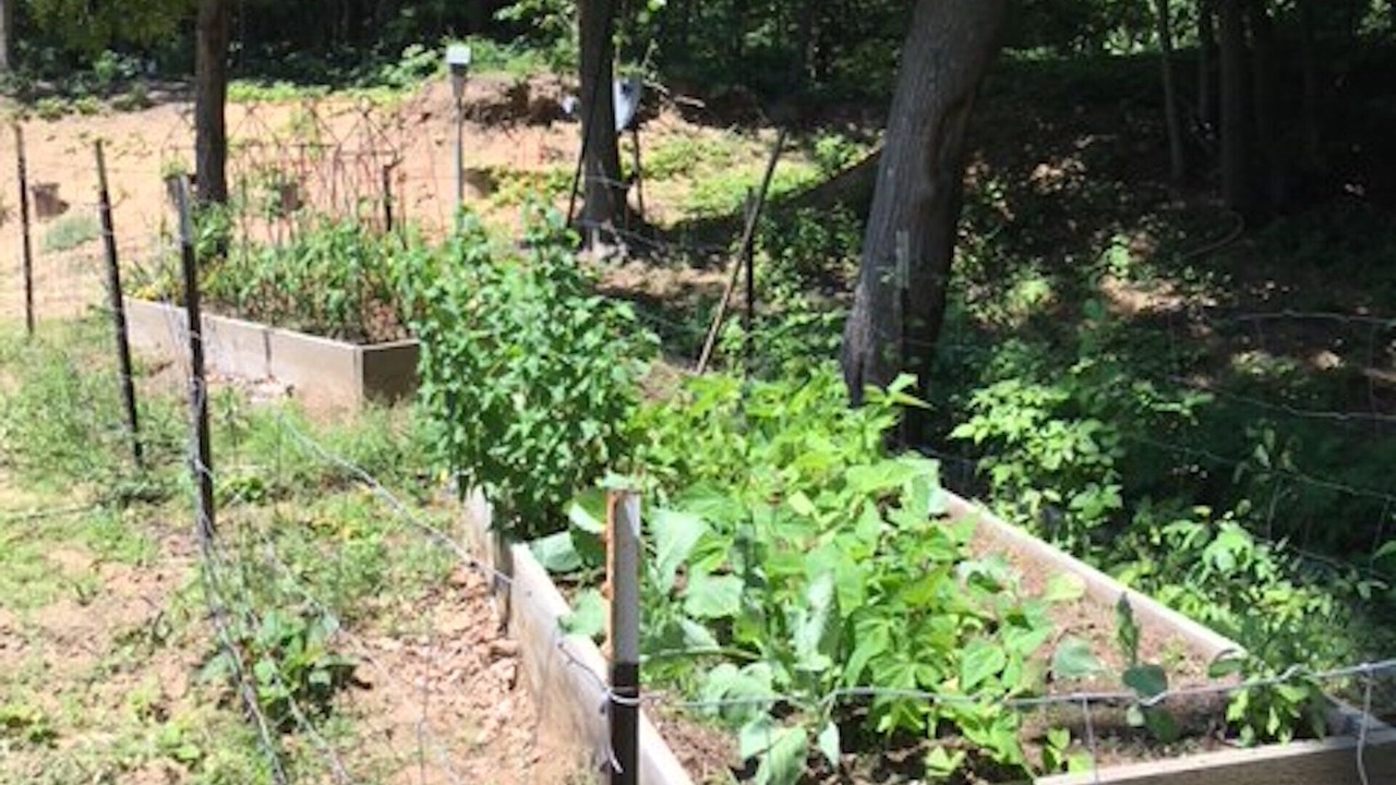 Photo of Outdoor in Fennville