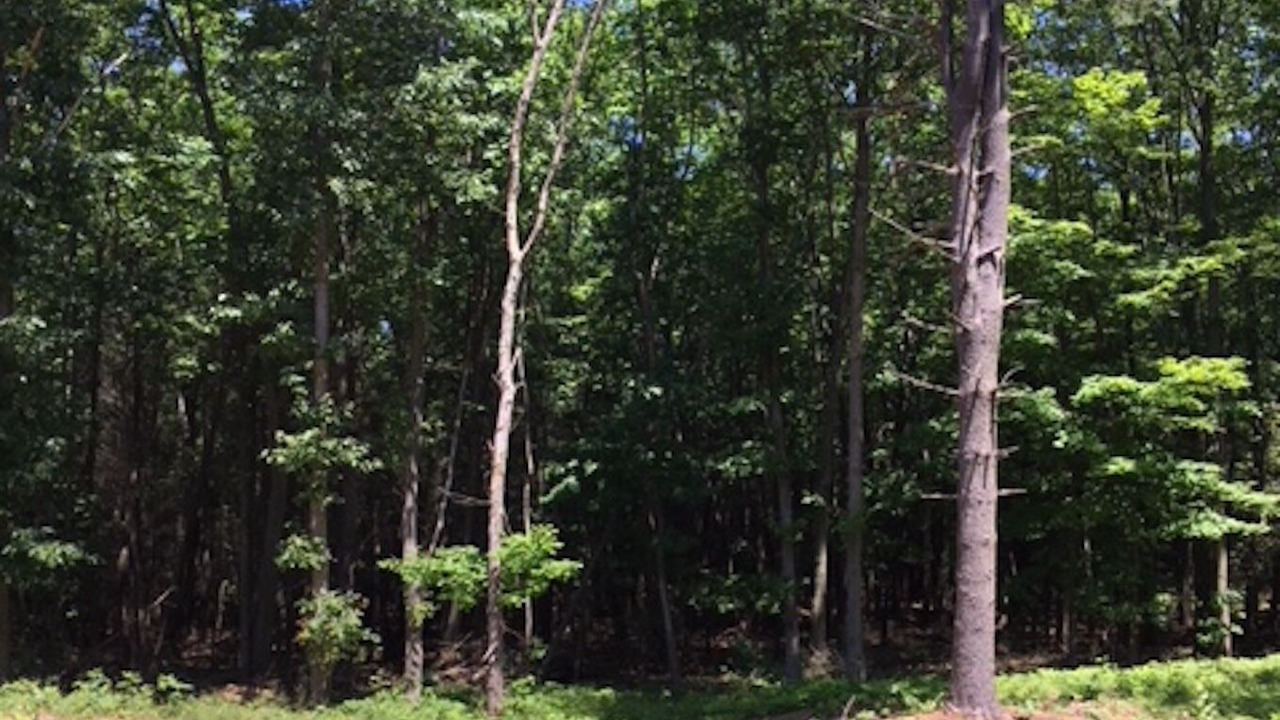 Photo of Others in Fennville