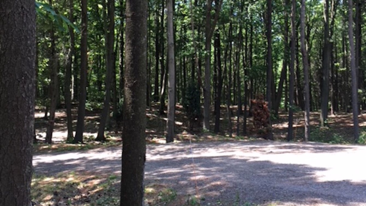 Photo of Others in Fennville