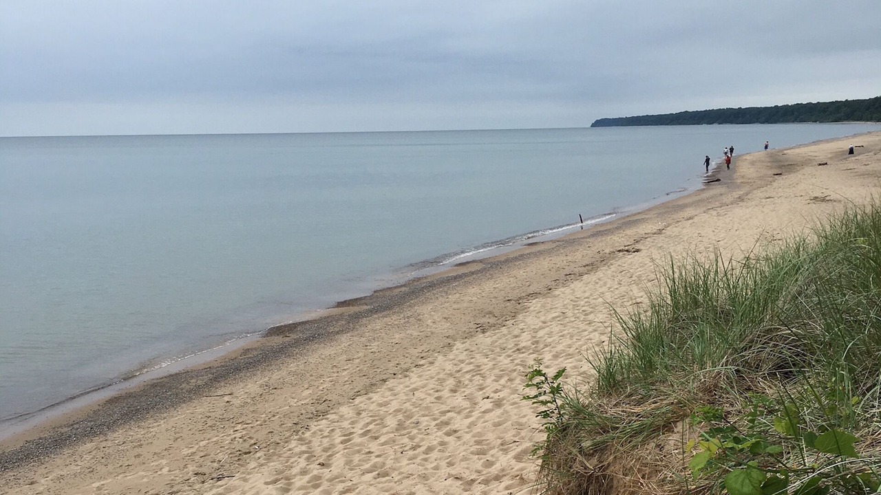 Photo of Others in Fennville