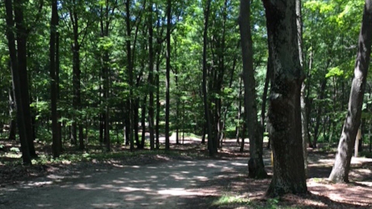 Photo of Others in Fennville