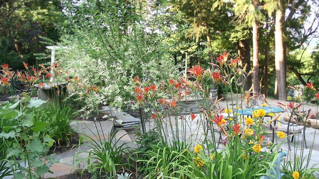 Photo of Outdoor in Lewiston