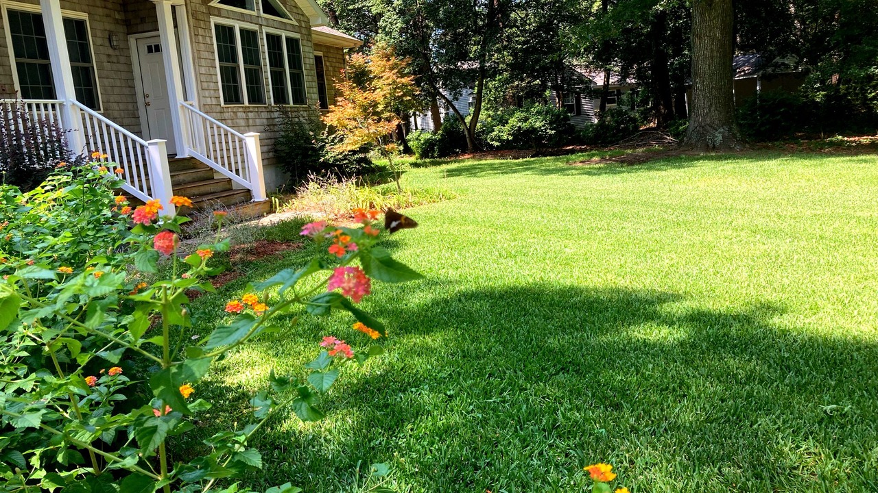 Photo of Outdoor in Silver Beach