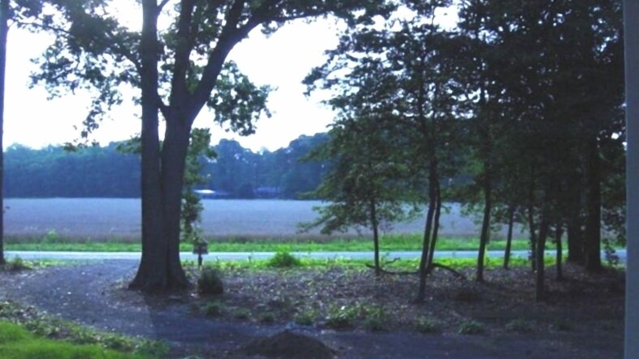 Photo of Outdoor in Silver Beach