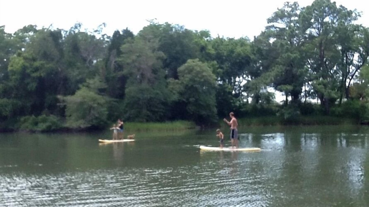 Photo of Others in Silver Beach