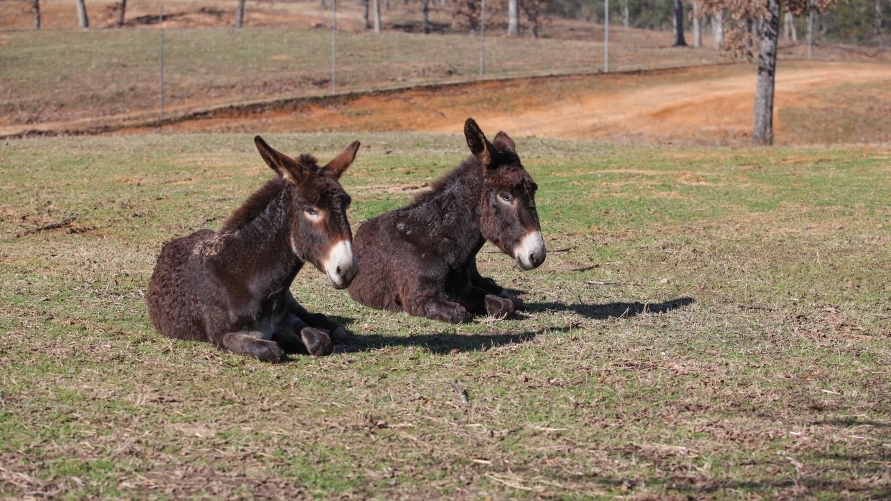 Photo of Others in Centerville