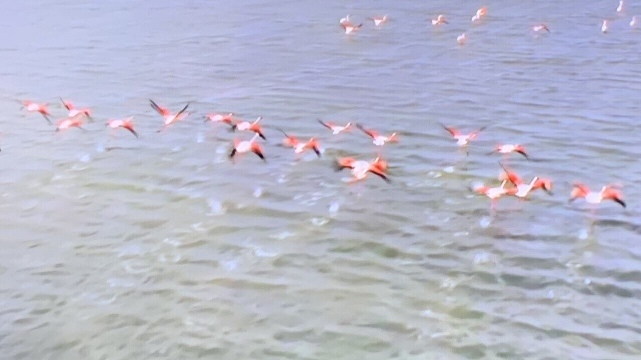 Photo of Others in Gruissan