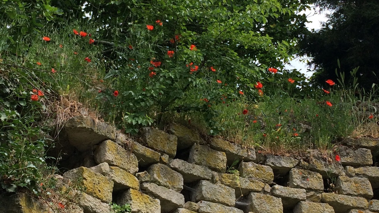 Photo of Outdoor in Concriers