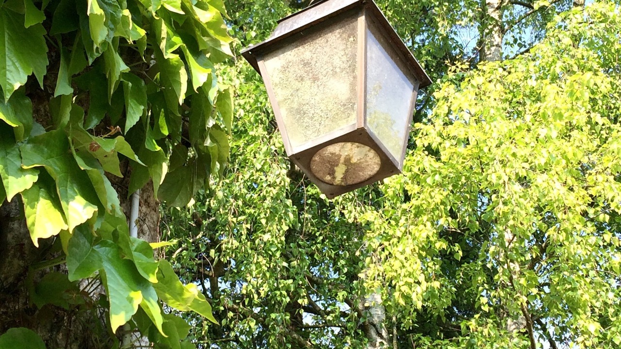 Photo of Outdoor in Concriers