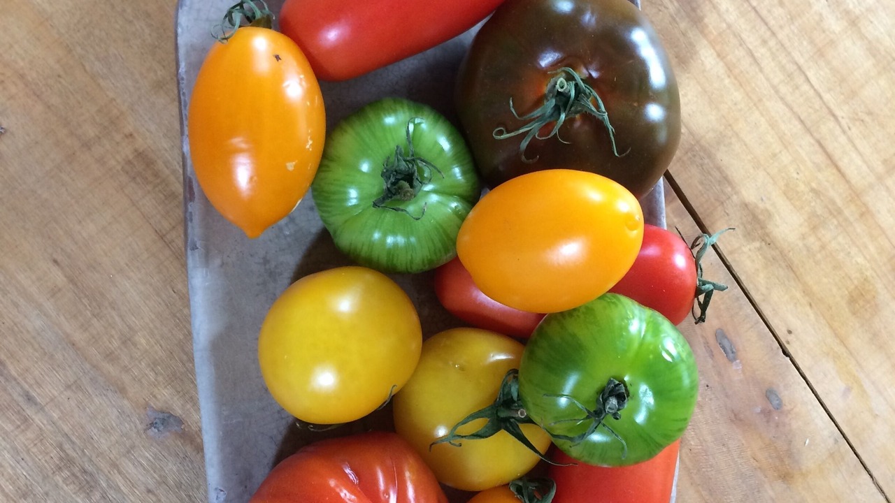 Photo of Others in Concriers