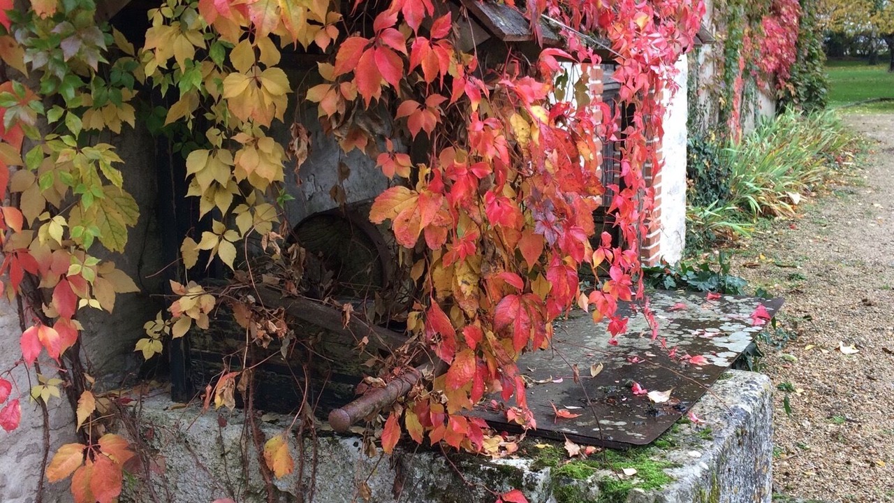 Photo of Outdoor in Concriers