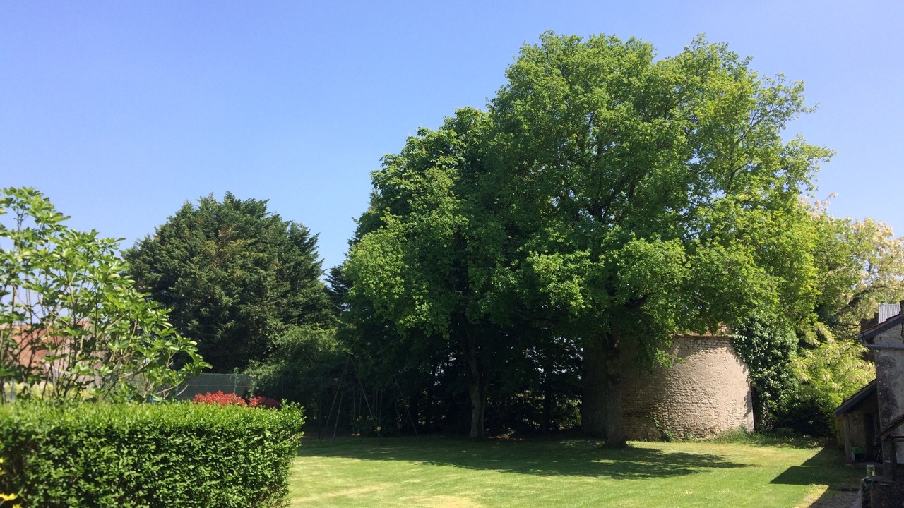 Photo of Outdoor in Concriers