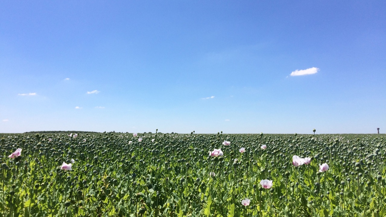 Photo of Outdoor in Concriers