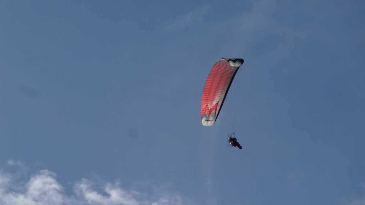 Photo of Others in Dineault