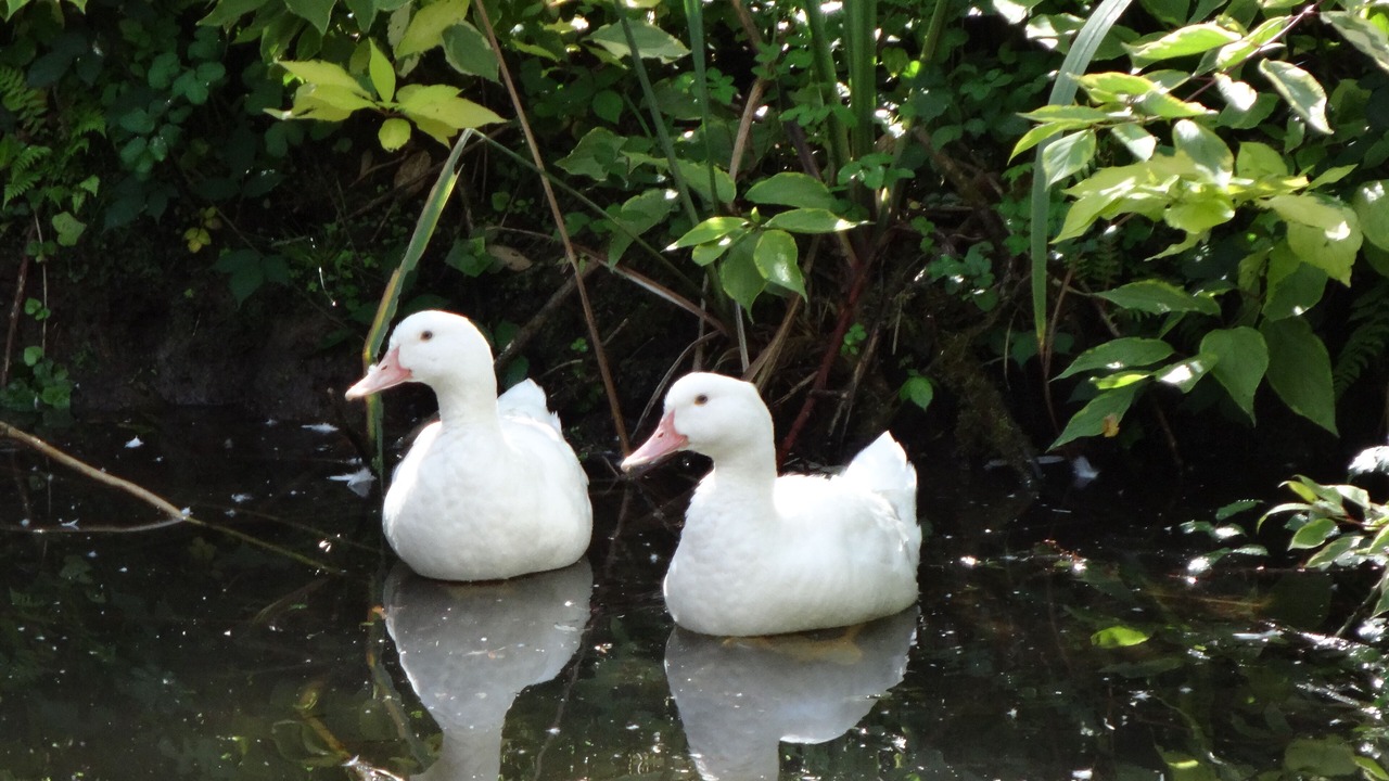 Photo of Outdoor in Dineault