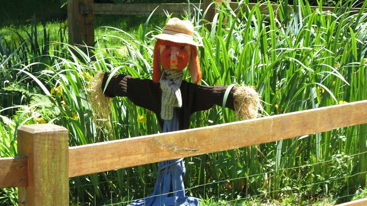 Photo of Outdoor in Dineault