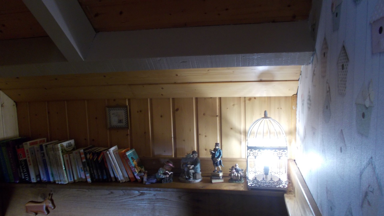 Photo of Others in Dineault