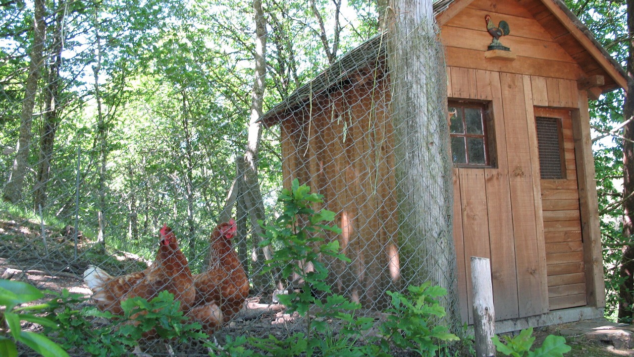 Photo of Outdoor in Dineault