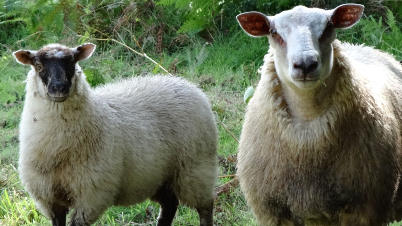 Photo of Outdoor in Dineault