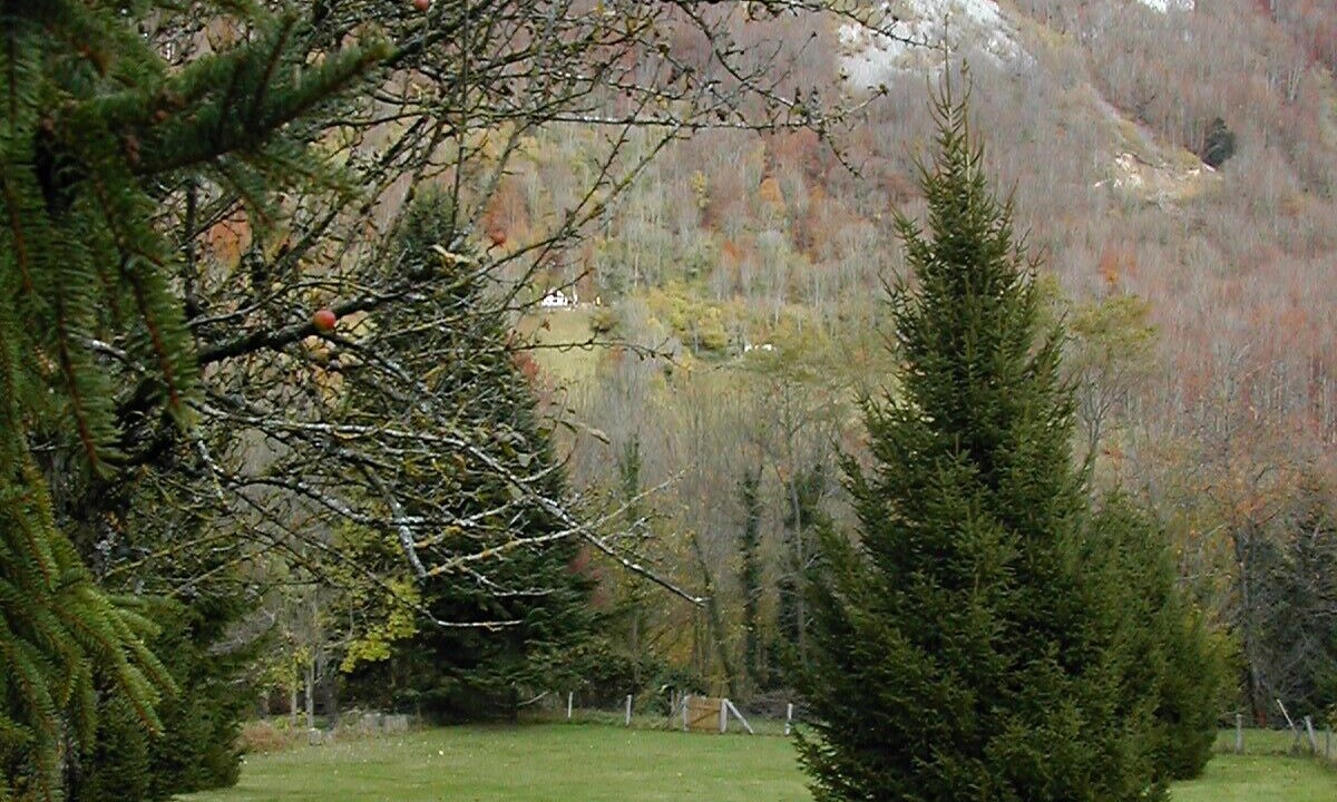 Photo of Others in Sainte-Marie-de-Campan