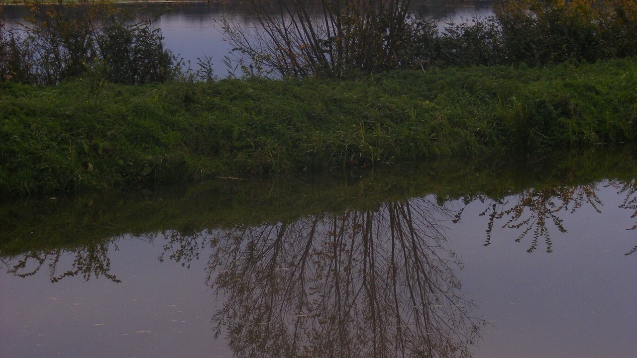 Photo of Outdoor in Blainville-sur-Mer
