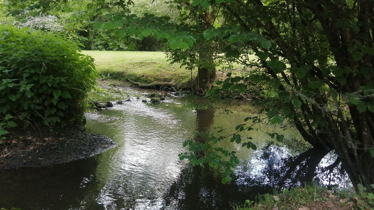 Photo of Outdoor in Savigne-sous-le-Lude