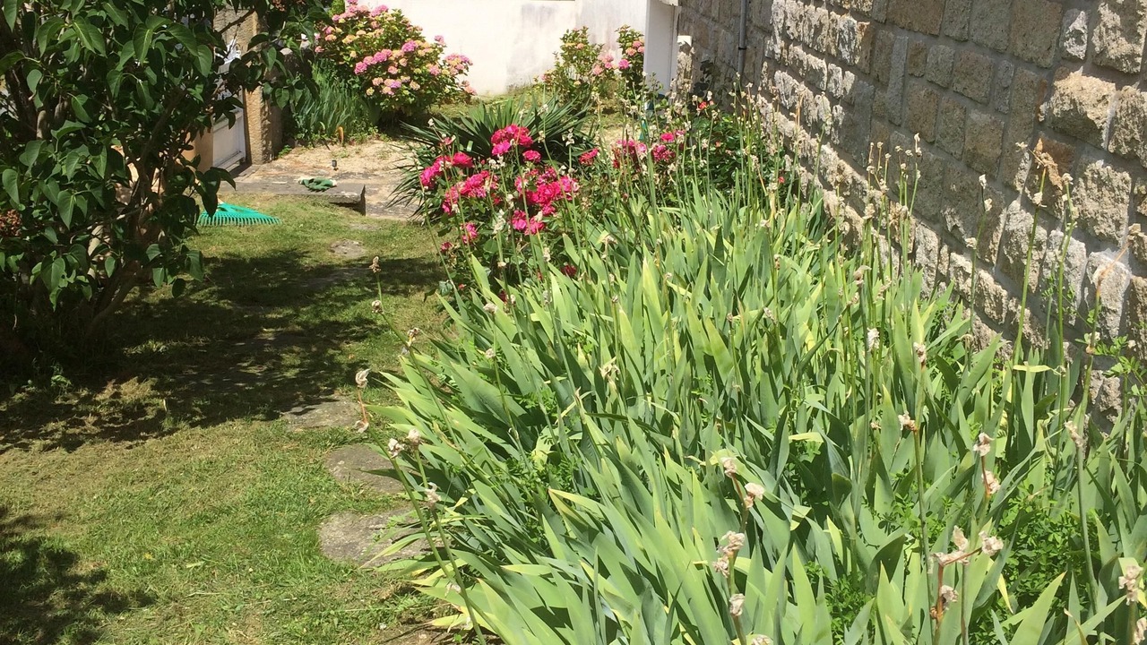 Photo of Outdoor in Lancieux
