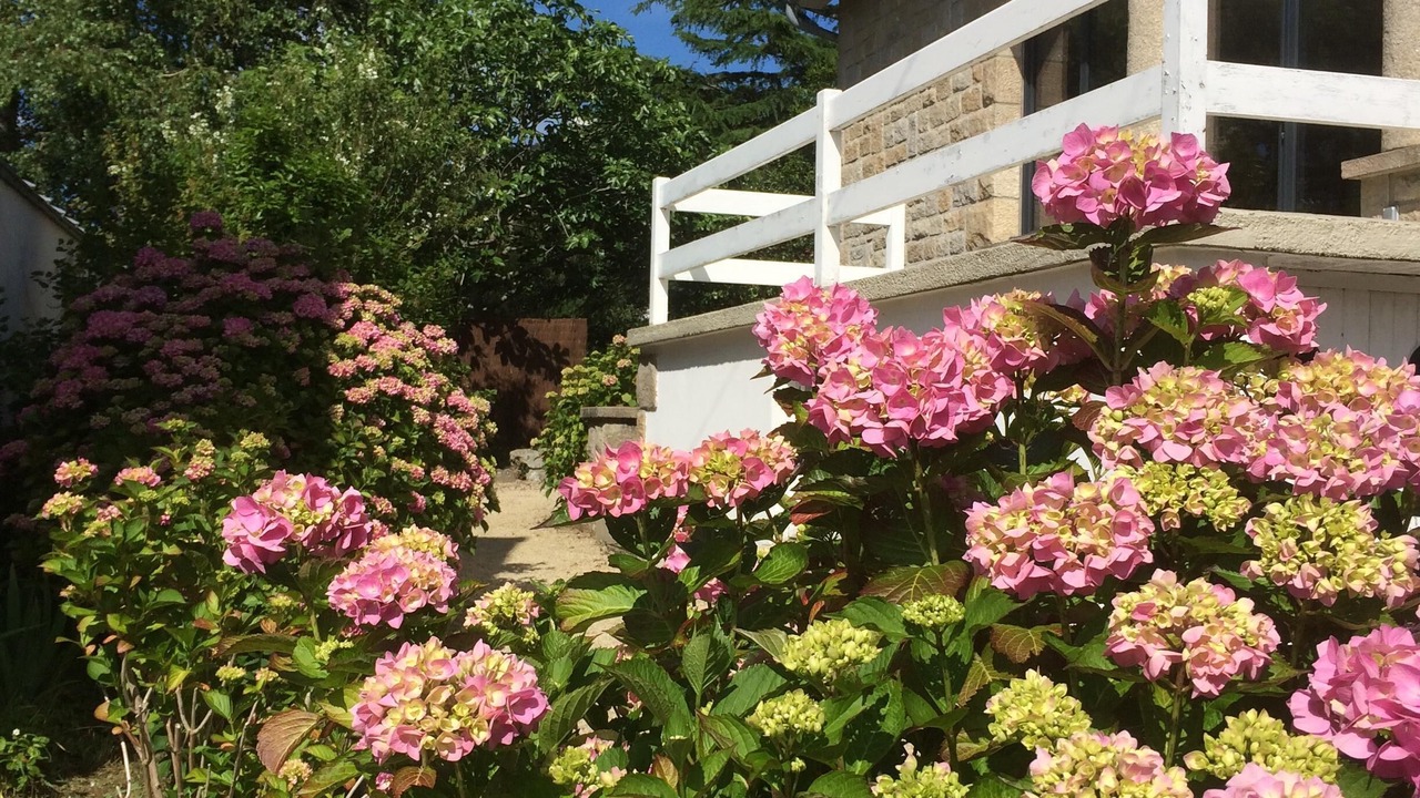 Photo of Outdoor in Lancieux