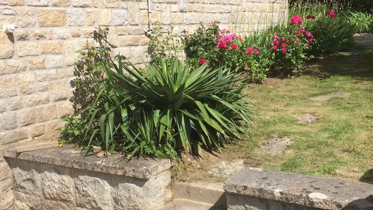 Photo of Outdoor in Lancieux