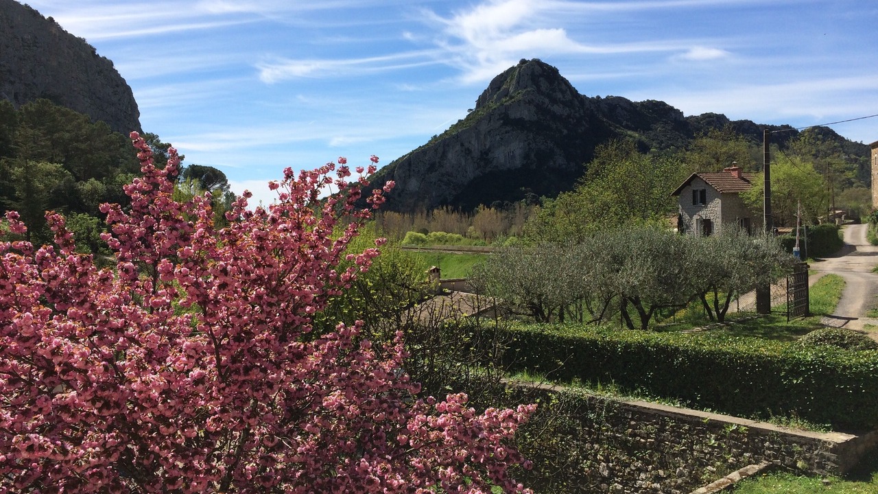 Photo of Outdoor in Anduze