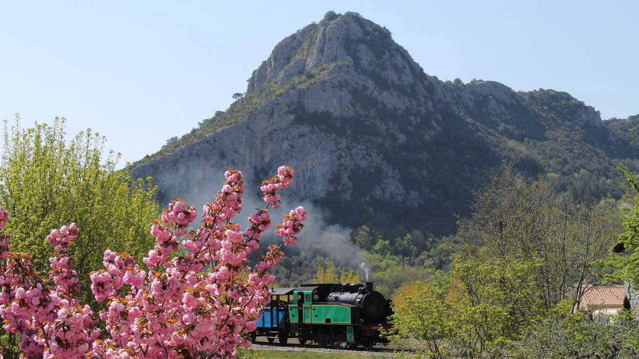 Photo of Others in Anduze