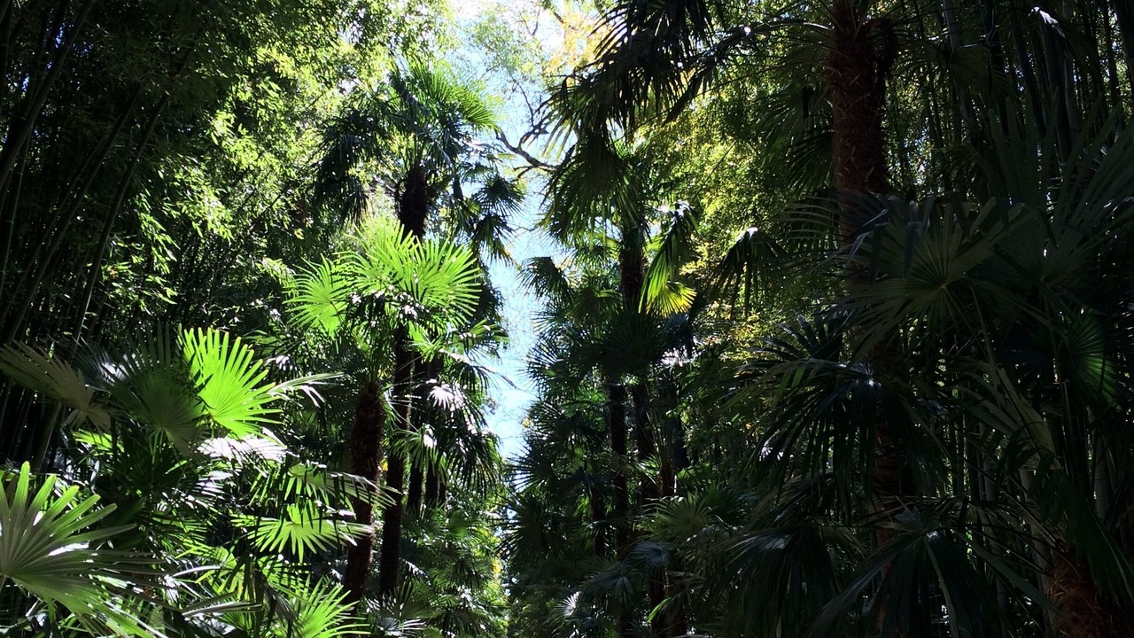 Photo of Outdoor in Anduze