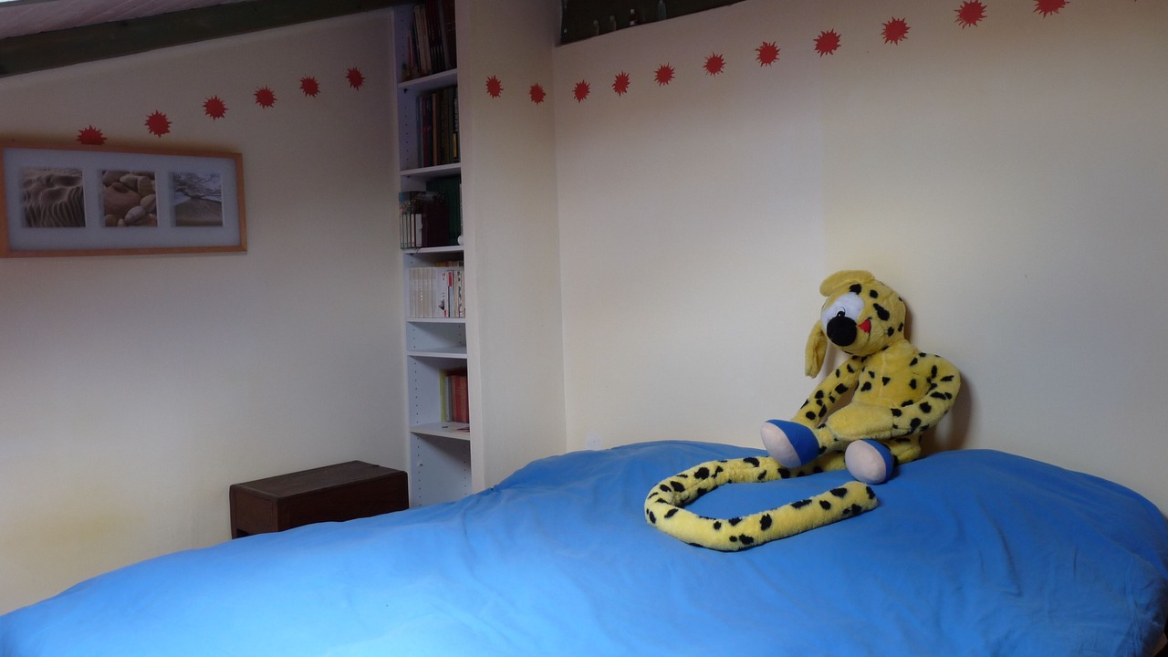 Photo of Bedroom in La Montagne