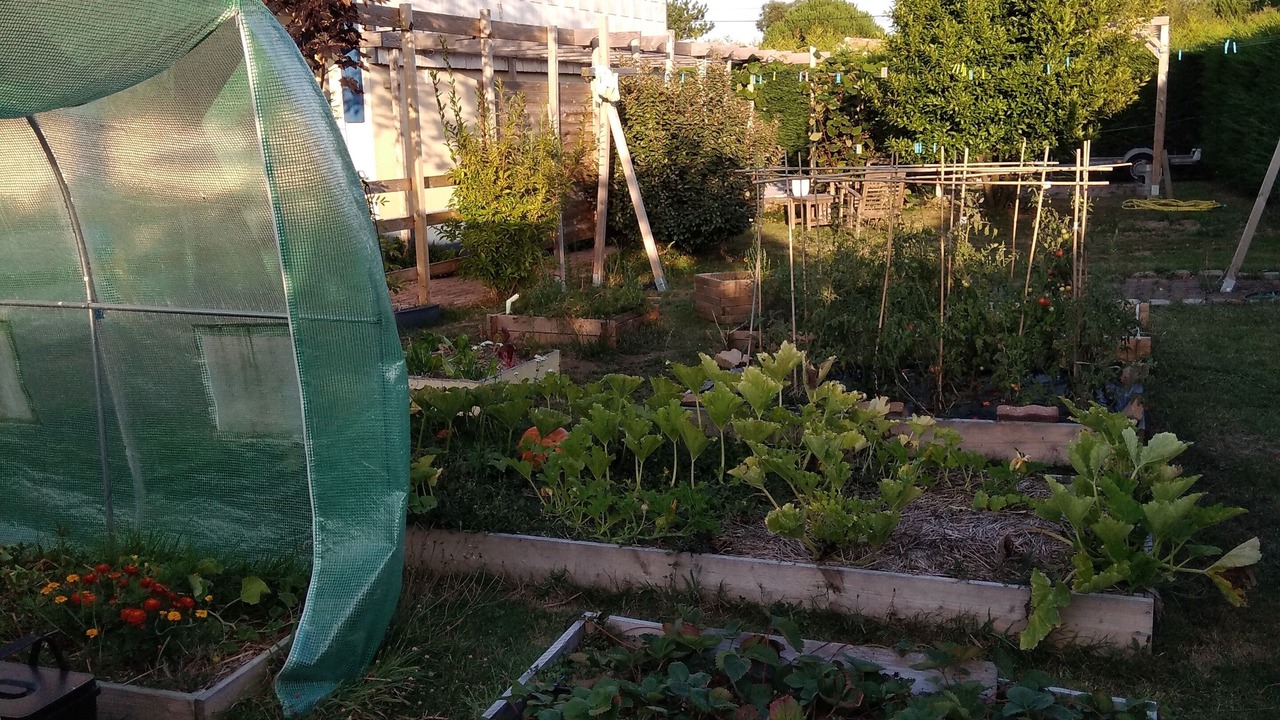 Photo of Outdoor in Saint-Pere-en-Retz