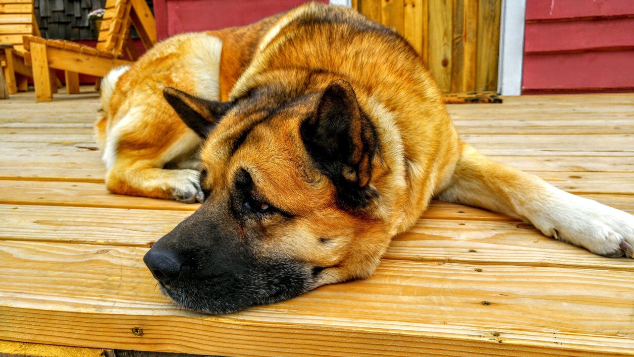 Photo of Others in Cody