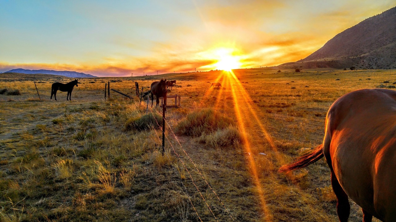 Photo of Outdoor in Cody
