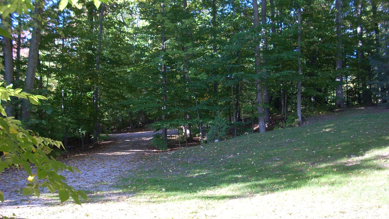 Photo of Outdoor in Boyne City