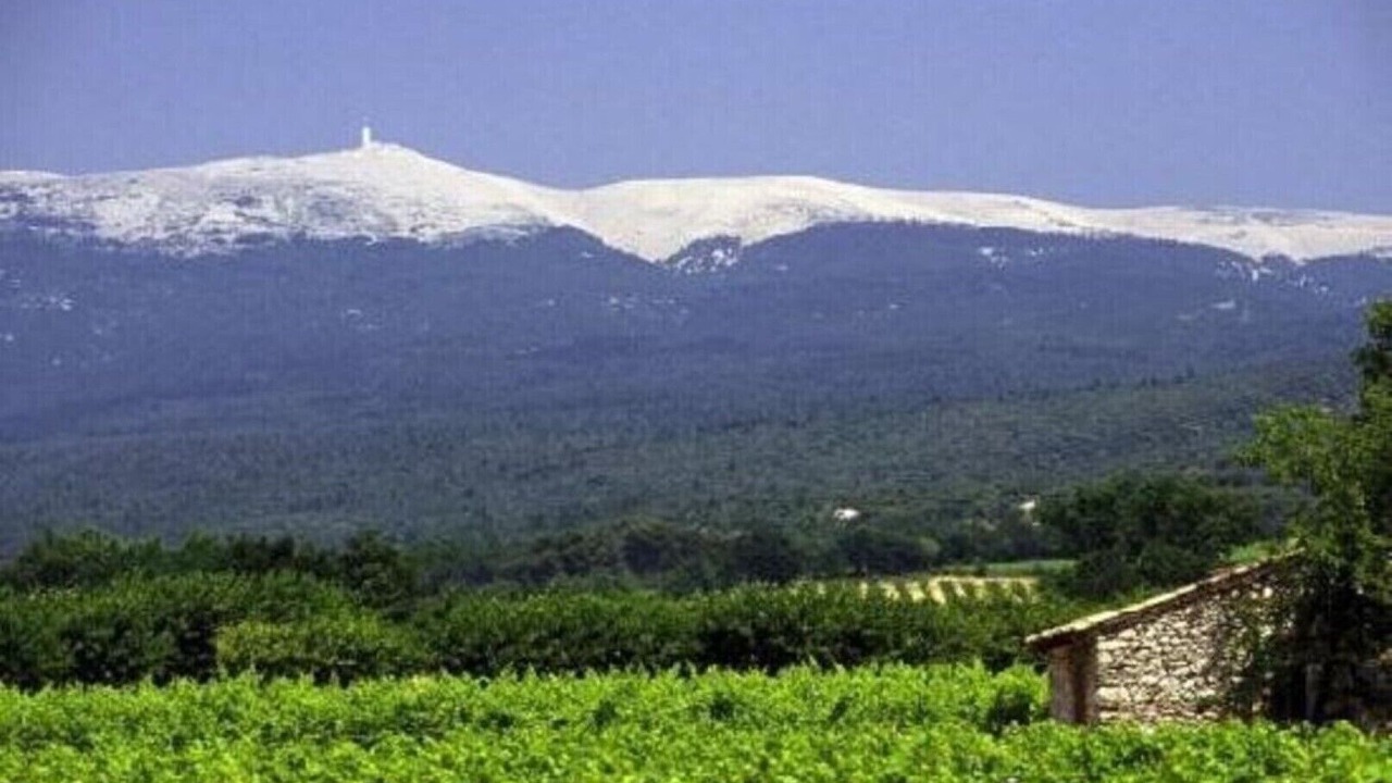 Photo of Others in Vaison-la-Romaine