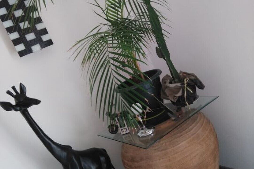 Photo of Others in Vaison-la-Romaine