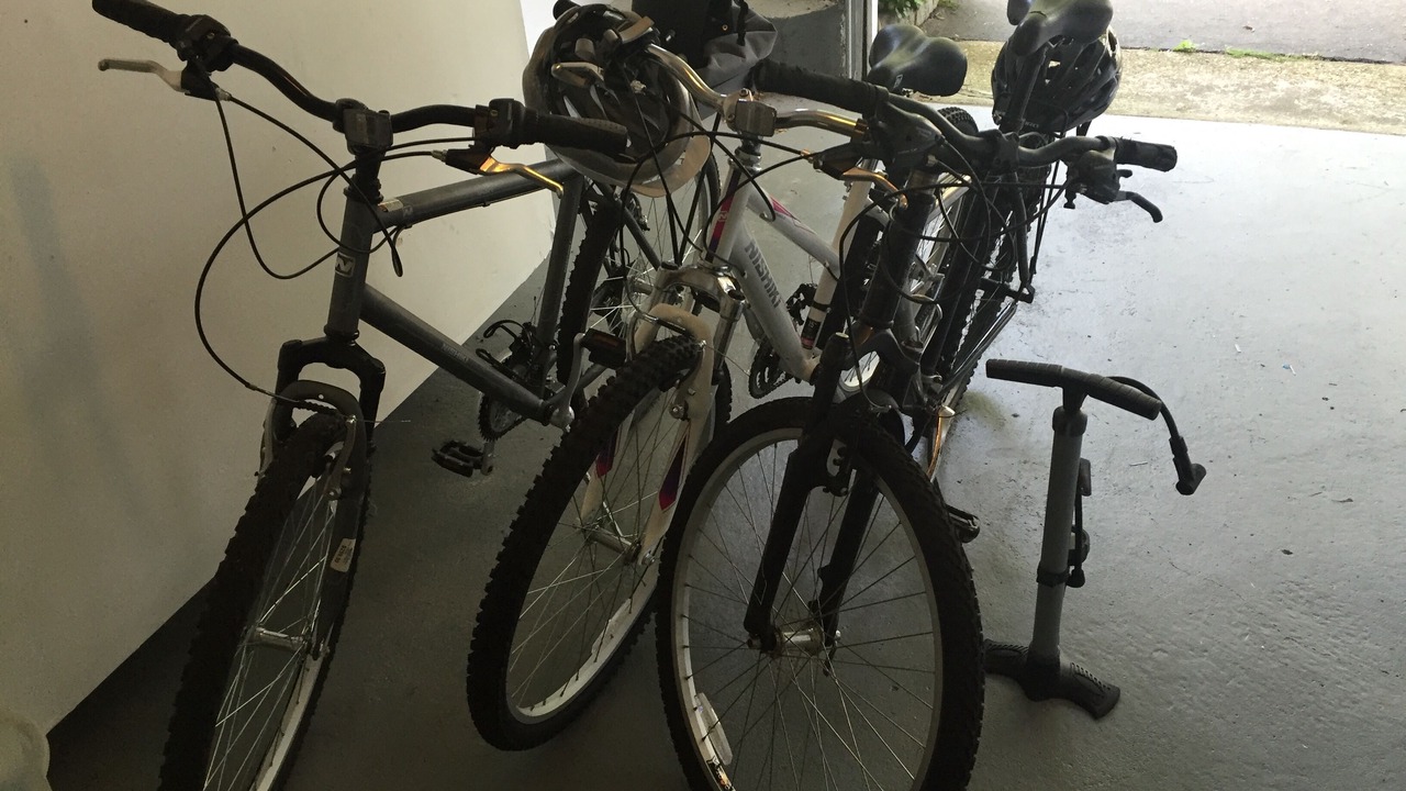 Photo of Others in Bellport